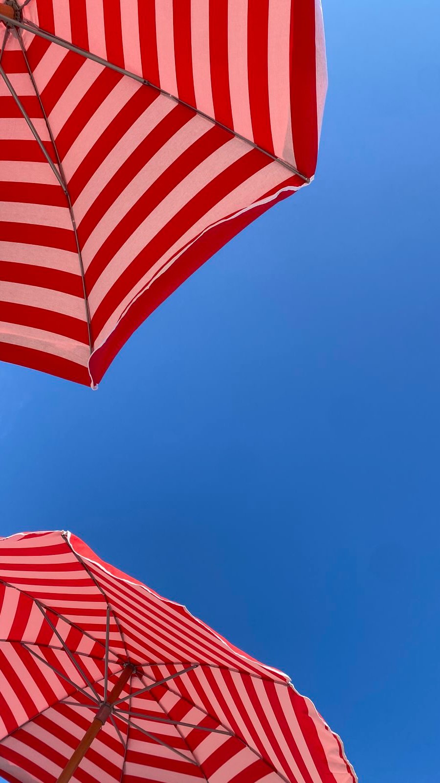 Qual o seu preferido? 

☀️🦋🍊🍒🎀🖤

Acesse nosso link na bio para garantir o seu.